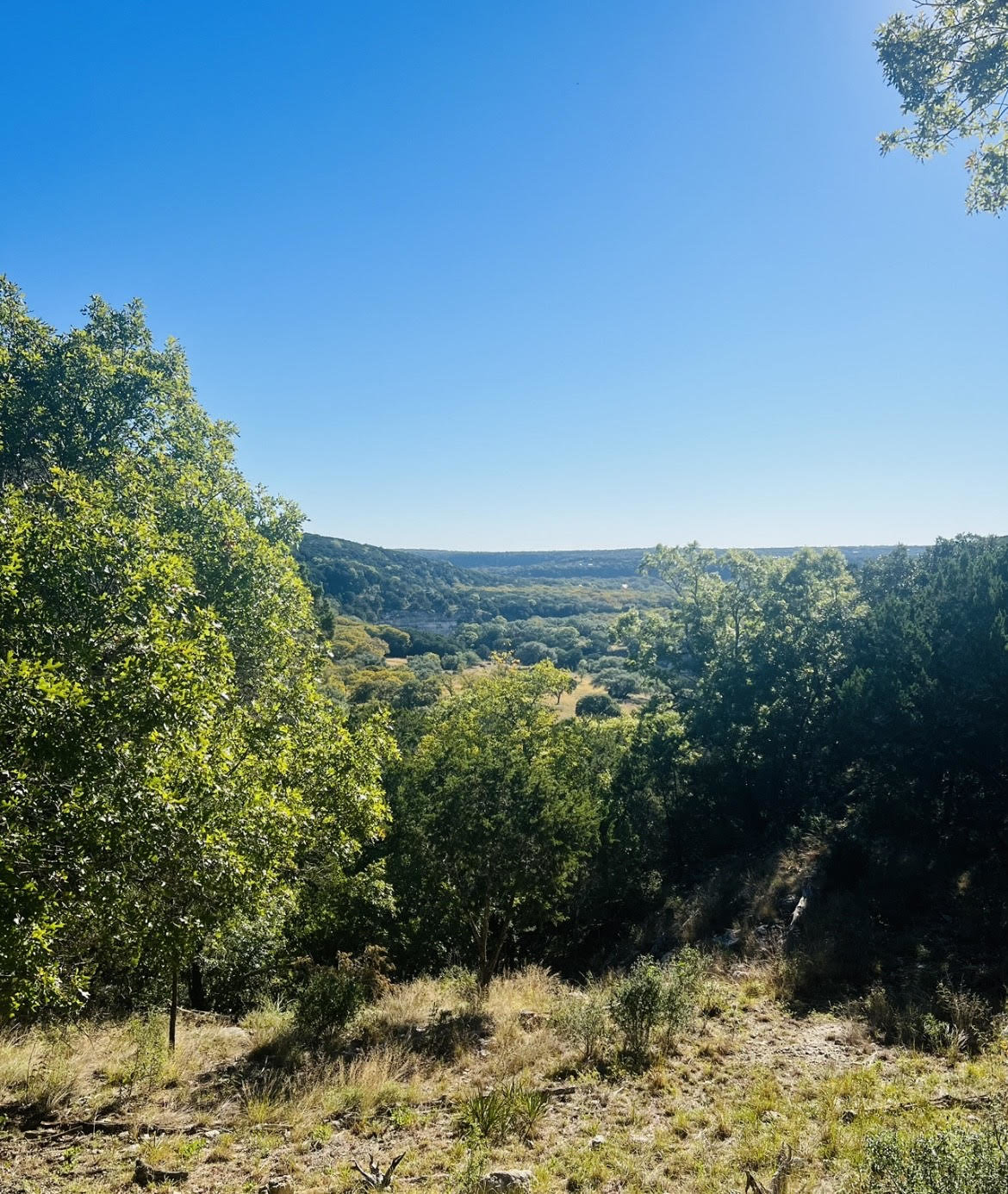 Land for sale in wimberley